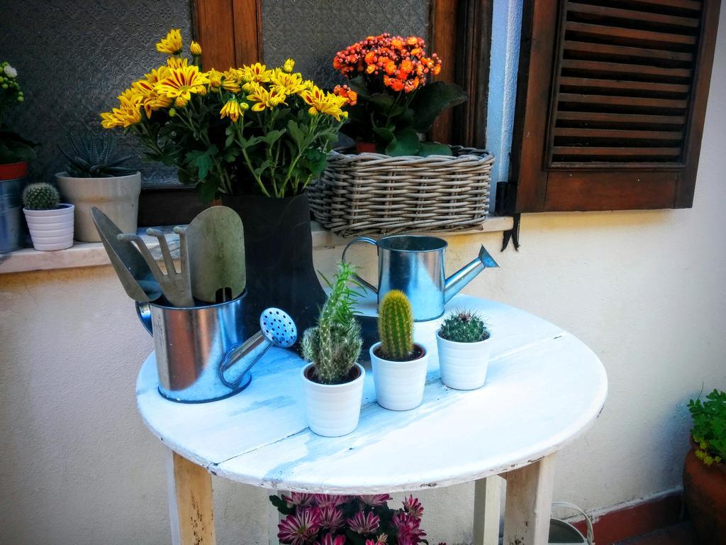 Hostel Geres Porto Luaran gambar